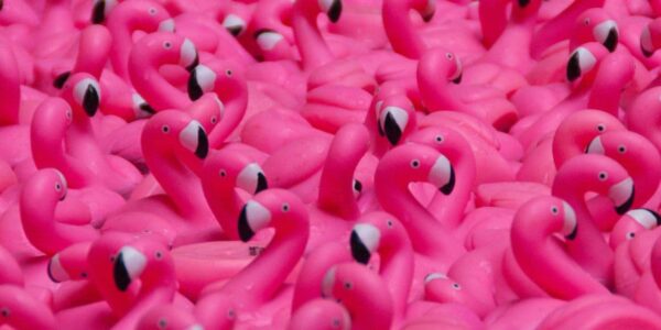 Flamingo Geschenke